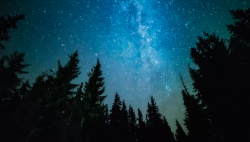 Peneliti Gunakan Laser Scanner untuk Pelajari Ciri Tumbuhan Tidur