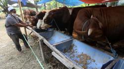 Kasus Covid-19 Melonjak, Pemprov Jabar Ingatkan Perayaan Idul Adha Wajib Prokes Ketat<