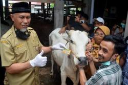 Warga Padang Tetap Antusias Berkurban di Tengah Pandemi Covid-19 <