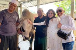 Ayu Ting Ting Kurban 2 Ekor Sapi: Alhamdulillah Dapatnya yang Semok-Semok