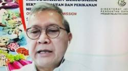 KKP Integrasikan Layanan Surat Izin Usaha Perikanan ke OSS