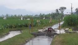 Video Pemuda Korban PHK Manfaatkan Saluran Irigasi Budi Daya Ikan Koi