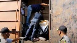 Gagal Beredar, 720 Kg Daging Celeng Tanpa Dokumen Diamankan Polisi Bakauheni