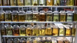 Warga Ciamis Jual Ikan Cupang Hias secara Online, Omzet Rp70 Juta per Bulan