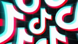 TikTok Bentuk Dewan Penasihat Keamanan, Putri Gusdur Anita Wahid Jadi Perwakilan Indonesia