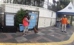 Warga Pasar Minggu yang Tak Pakai Masker Dikenai Sanksi Cat Pembatas Jalan