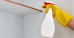 Selain Cuka, Bahan Alami Lemon dan Air Panas Bisa Bikin Dapur Bersih