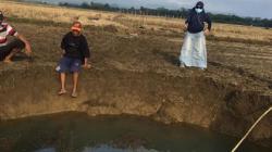Geger, Warga Maros Temukan Lubang Besar Misterius di Tengah Sawah