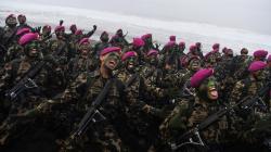 Asal Mula Baret Ungu Korps Marinir, Ternyata dari Warna Bunga