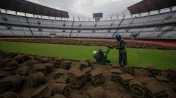 Persiapan Piala Dunia U-20, Rumput Stadion Gelora Bung Tomo Diperbaiki