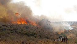 Diserang 19 Bom Api, Israel Kembali Bombardir Gaza