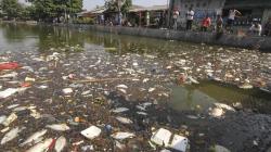 Akibat Tercemar Limbah, Ikan-Ikan di Situ Rawa Besar Depok Mati
