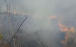 Video Kebakaran Hanguskan Taman Nasional Gunung Cermai Kuningan