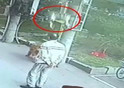 Pria di China Cedera Leher Tertimpa Kucing Jatuh dari Apartemen