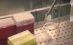 Video Obat Covid-19 Unair Masuk Uji Klinis Terakhir