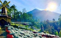 Putri Koster Gandeng Unud Olah Bunga Edelweis Jadi Dupa dan Parfum