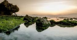 Banyuwangi Mulai Sambut Wisatawan, Kunjungi Kawah Ijen dan Hutan Lord of The Ring
