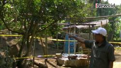 Video Nenek di Temanggung Tewas Tergantung di Pohon, Korban Dibunuh Anak dan Menantu