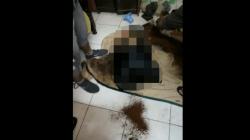 Jasad Perempuan dalam Kardus di Pondok Aren Diperkirakan Tewas Sabtu Malam