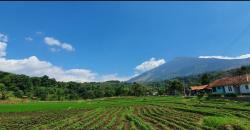 Terpikat Keindahan Desa Wisata Cibuntu di Lereng Gunung Ciremai