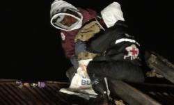 Kawanan Tawon Menyerang Warga di Bukittinggi, 2 Sarang Dimusnahkan