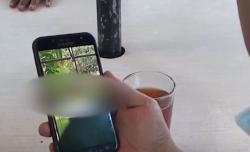 Video Viral Pasangan Muda Mudi Mesum di Taman Maramis Probolinggo