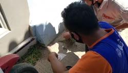 Permukiman Warga Indramayu Diteror Tomcat, Gatal-Gatal di Wajah