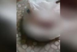 Video Penemuan Mayat Bayi dengan Kondisi Mengenaskan di Musala Makam Ronggolawe Tuban