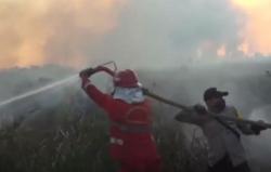 Video Kebakaran Hutan dan Lahan 91 Hektare Lahan di Ogan Ilir Hangus Terbakar