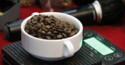 Mengenal Potensi Kopi Lokal di Destinasi Super Prioritas Danau Toba<