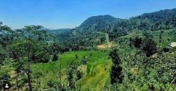 Developer Malaysia Genting Property Bangun Lifestyle Center Premium di Sentul