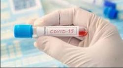 Hari Ini, 6 Provinsi Nihil Kasus Covid-19
