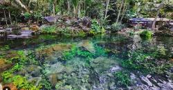 5 Tempat Wisata di Cirebon Terpopuler, Unik Ada yang Mirip Monkey Forest Bali