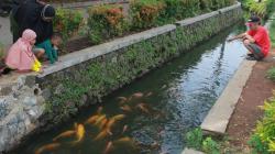 Warga Pamulang Ubah Saluran Air Jadi Tempat Budi Daya Ikan