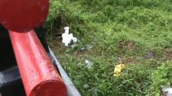 Duh, Sampah APD Dibuang di Sungai Kelekar Prabumulih<