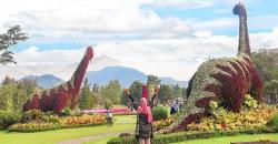 5 Wisata Populer di Puncak yang Masih Buka di Tengah Pandemi Covid-19