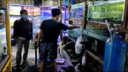 Toko Ikan di Jember Dibobol Maling, Arwana dan Louhan Raib