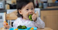 4 Makanan Sehat untuk Kekebalan Tubuh si Kecil