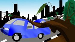 Pohon Tumbang di Medan Denai Timpa Pengguna Jalan, 2 Warga Luka Berat