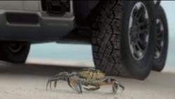 Mobil Hummer Terbaru Bisa Berjalan Miring seperti Kepiting, Meluncur 10 Oktober 2020