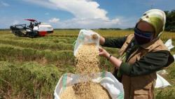 Kementan Catat Ekspor Pertanian Naik 8,6 Persen di Tengah Pandemi Covid-19