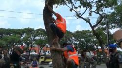 Razia Protokol Covid-19 di Tangsel, Pelanggar Kena Sanksi Peluk dan Panjat Pohon