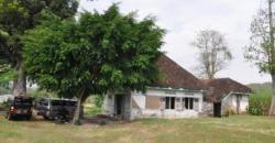 Mengenal Desa Ngandong, Tempat Sejarah Ditemukan Jejak Manusia Purba