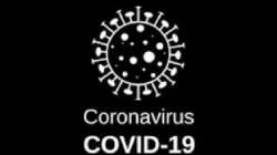 Kasus Covid-19 Sumsel Bertambah 51 Jadi 8.386, Pasien Sembuh Naik 38 Jadi 6.818<