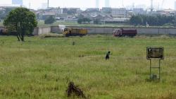 TPU Rorotan Seluas 2 Hektare Disiapkan untuk Jenazah Korban Covid-19