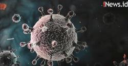 Update Covid di Sumbar 25 Oktober: Kasus Positif Bertambah 359 Total Jadi 12.791<