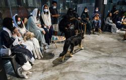 Pertama di Arab Saudi, Kafe Ini Jadi Tempat Bersenang-senang Anjing dan Majikan