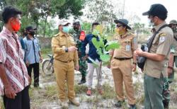 Pemprov Babel Sulap 178 Hektare Lahan Eks Tambang Jadi Kebun Jambu Mete