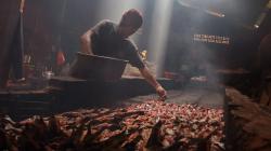 UMKM Kuliner Lele Asap dari Bogor Masuk Pasar Ekspor hingga Nigeria