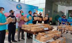 BNNP Banten Gagalkan Penyelundupan 301 Kg Ganja, 1 Pelaku Ditangkap